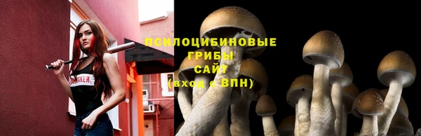 дурь Богданович