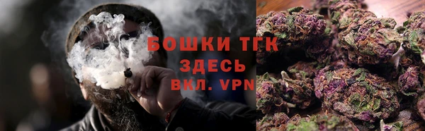 дурь Богданович