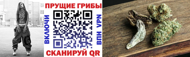 Галлюциногенные грибы ЛСД  купить наркотики цена  Волжск 
